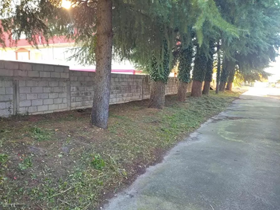 Immagine 7 di Capannone industriale in vendita  a San Giovanni Al Natisone