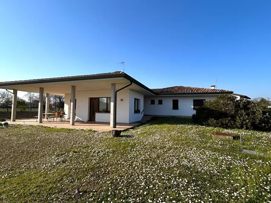 Immagine 2 di Villa in vendita  a Tavagnacco