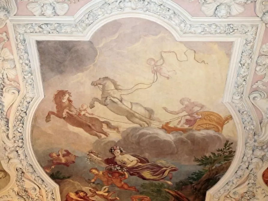 Immagine 3 di Ufficio in affitto  a Udine