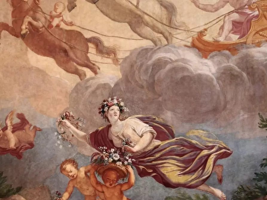 Immagine 2 di Ufficio in affitto  a Udine