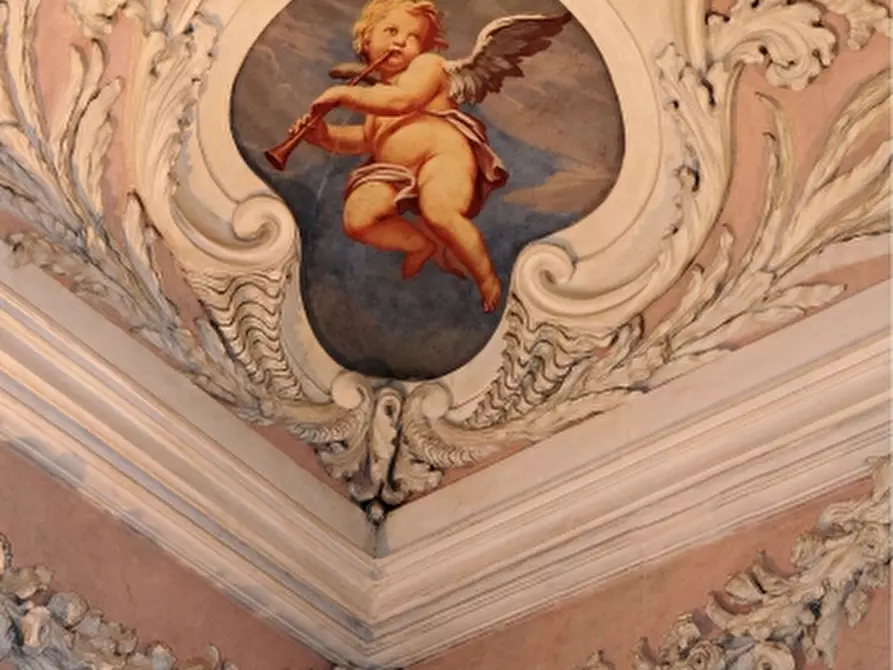 Immagine 1 di Ufficio in affitto  a Udine