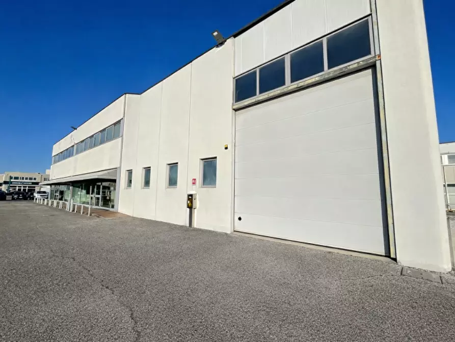 Immagine 3 di Locale commerciale in affitto  a Tavagnacco