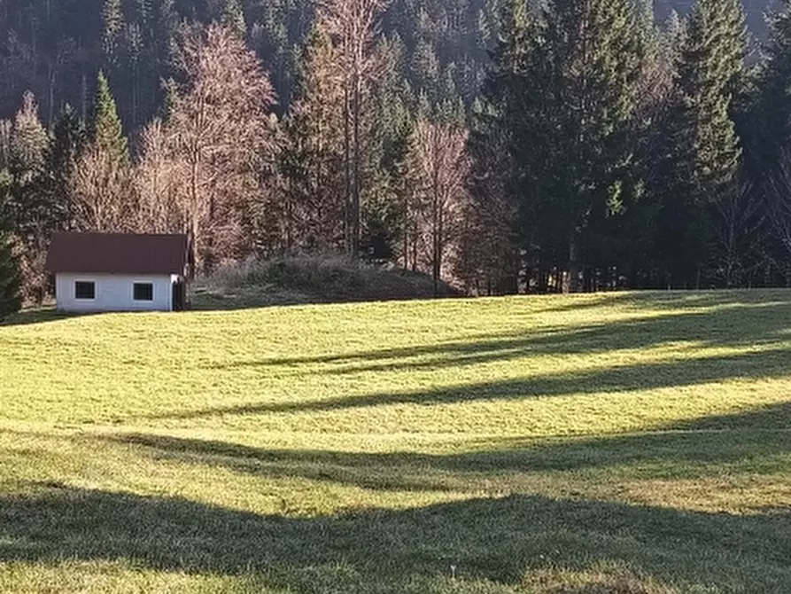 Immagine 3 di Terreno residenziale in vendita  a Tarvisio