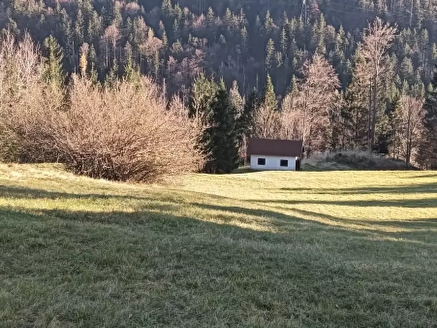 Immagine 5 di Terreno residenziale in vendita  a Tarvisio