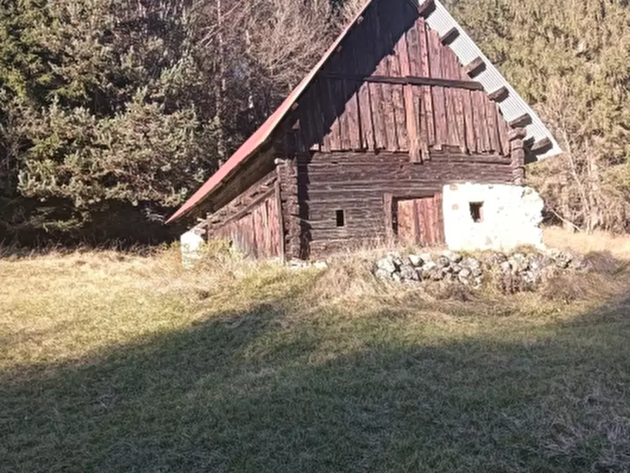 Immagine 1 di Terreno residenziale in vendita  a Tarvisio
