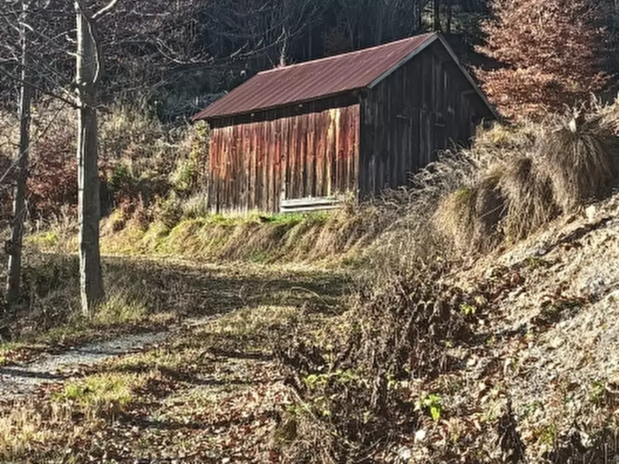 Immagine 2 di Terreno residenziale in vendita  a Tarvisio