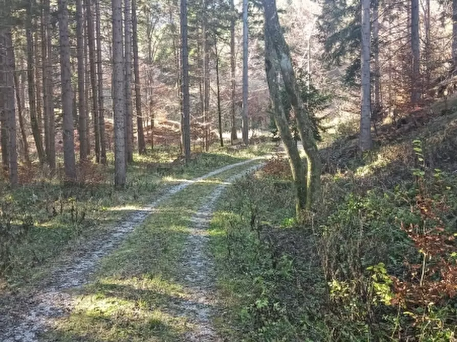 Immagine 7 di Terreno residenziale in vendita  a Tarvisio