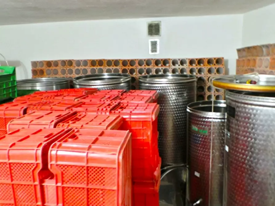 Immagine 5 di Villa in vendita  in Via Divisione Julia a Majano