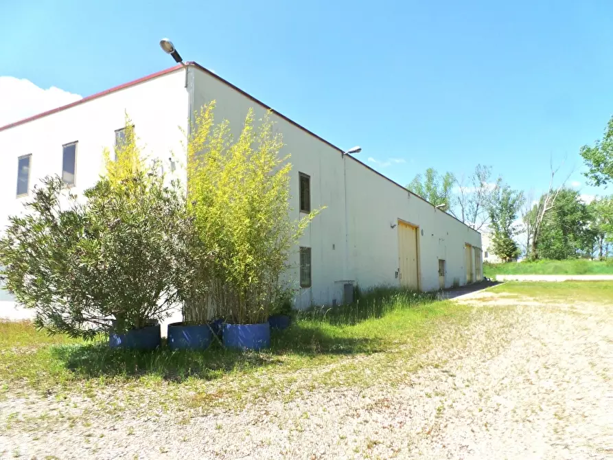 Immagine 4 di Capannone industriale in vendita  in Strada di Salt a Remanzacco