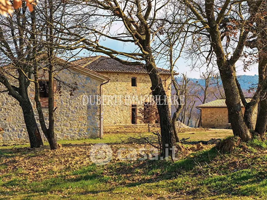 Immagine 11 di Rustico / casale in vendita  in Via San Sebastiano a Rapolano Terme
