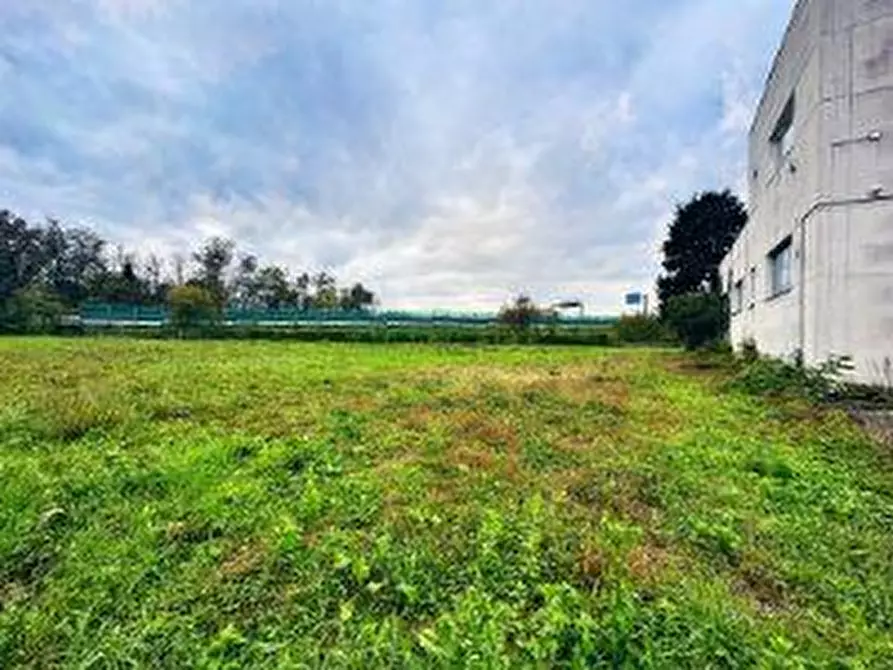 Immagine 5 di Terreno residenziale in vendita  a Besnate
