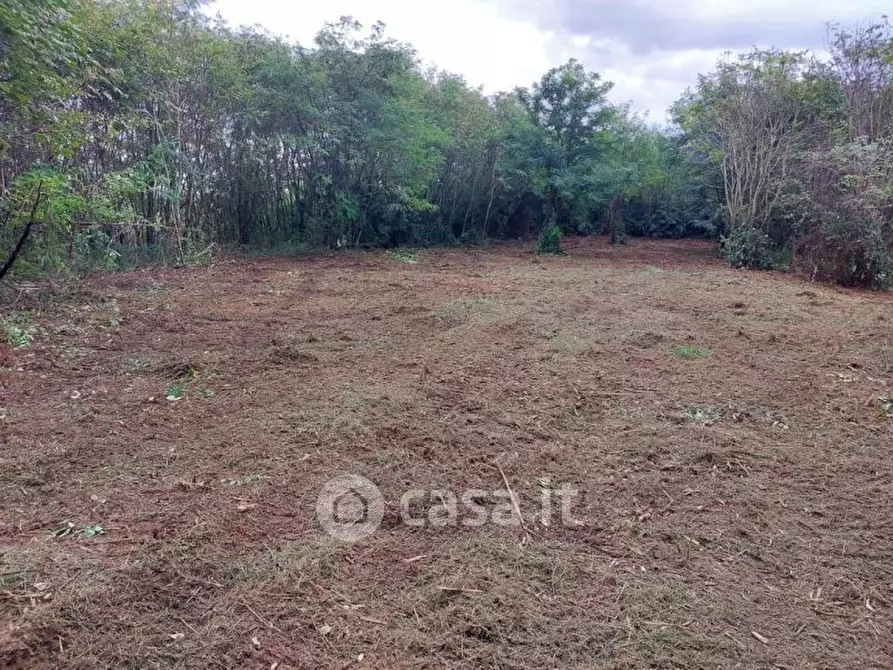 Immagine 1 di Terreno residenziale in vendita  a Gallarate