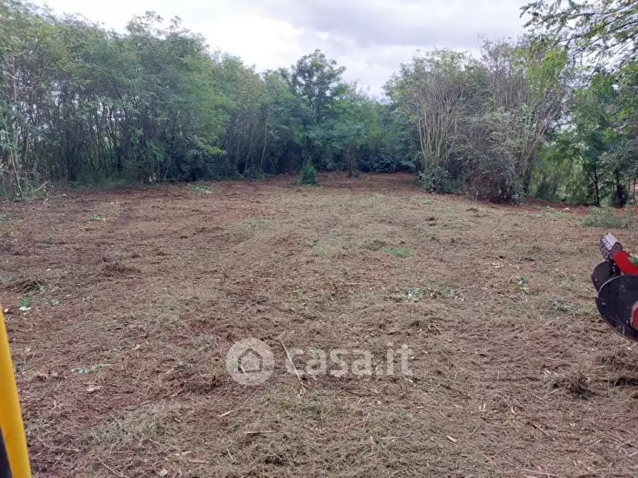 Immagine 4 di Terreno residenziale in vendita  a Gallarate