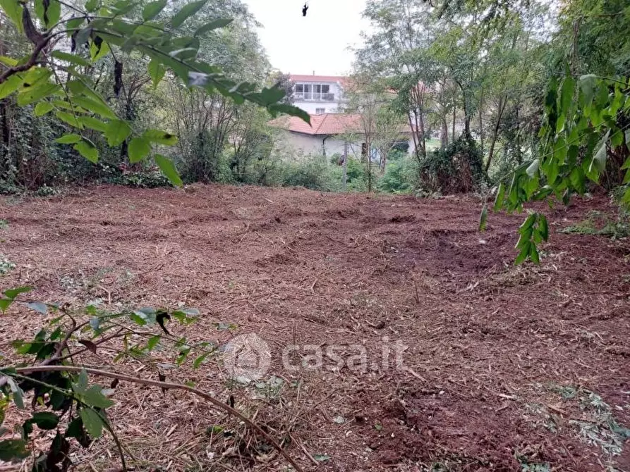 Immagine 6 di Terreno residenziale in vendita  a Gallarate