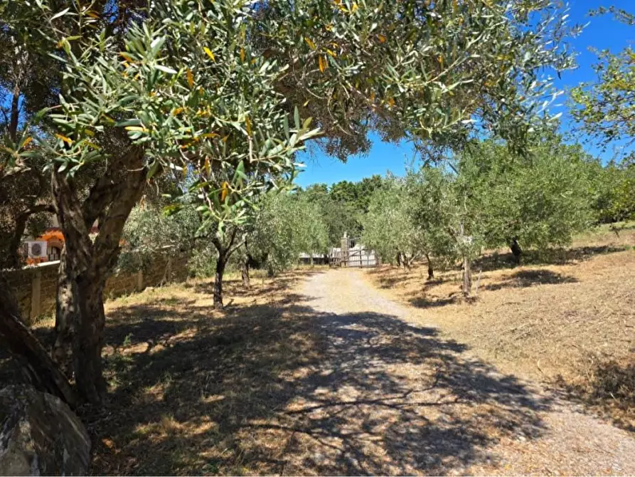 Immagine 6 di Rustico / casale in vendita  in via del Casaletto Rosso 45 a Civitavecchia