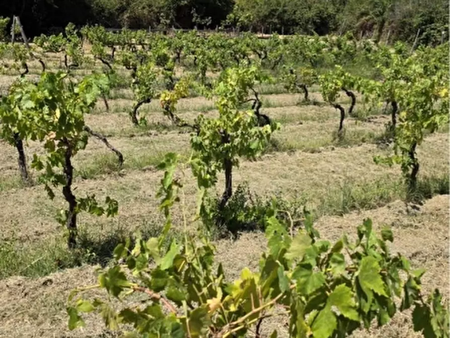 Immagine 12 di Rustico / casale in vendita  in via del Casaletto Rosso 45 a Civitavecchia