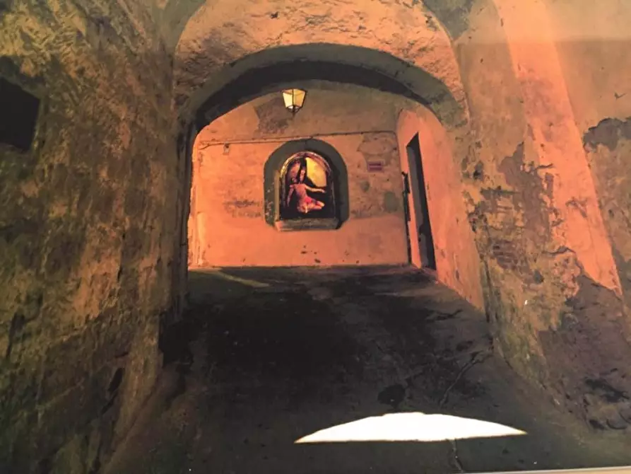 immagine annuncio 0 di 5