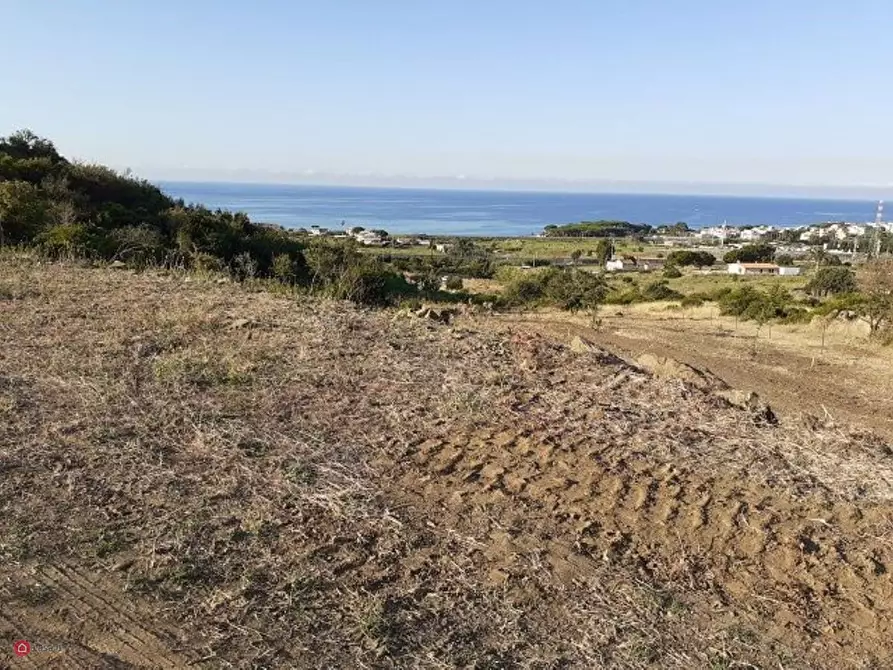 Immagine 3 di Terreno agricolo in vendita  a Santa Marinella