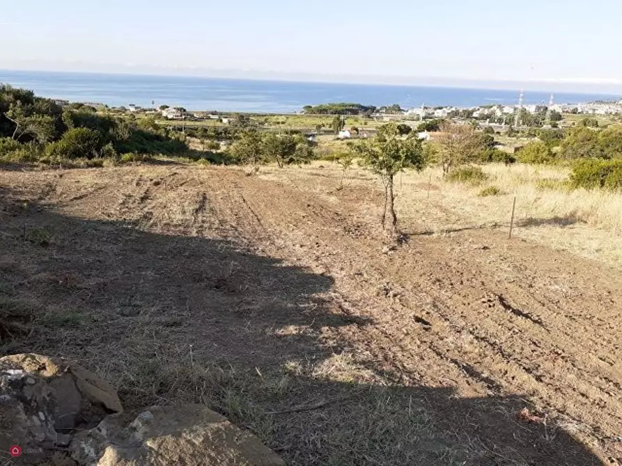 Immagine 4 di Terreno agricolo in vendita  a Santa Marinella