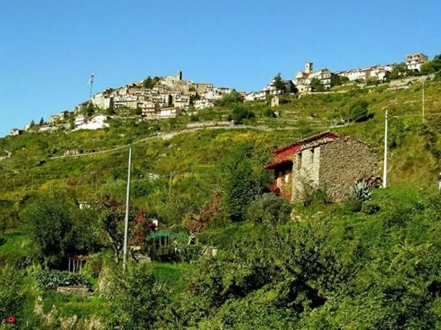 Immagine 1 di Rustico / casale in vendita  a Baiardo