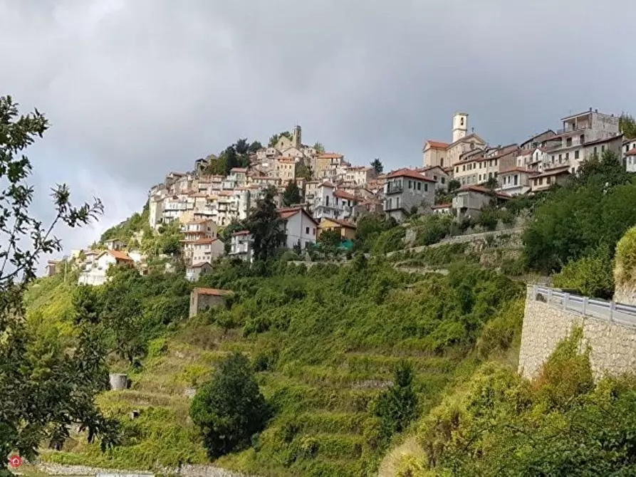 Immagine 15 di Rustico / casale in vendita  in Bajardo a Baiardo