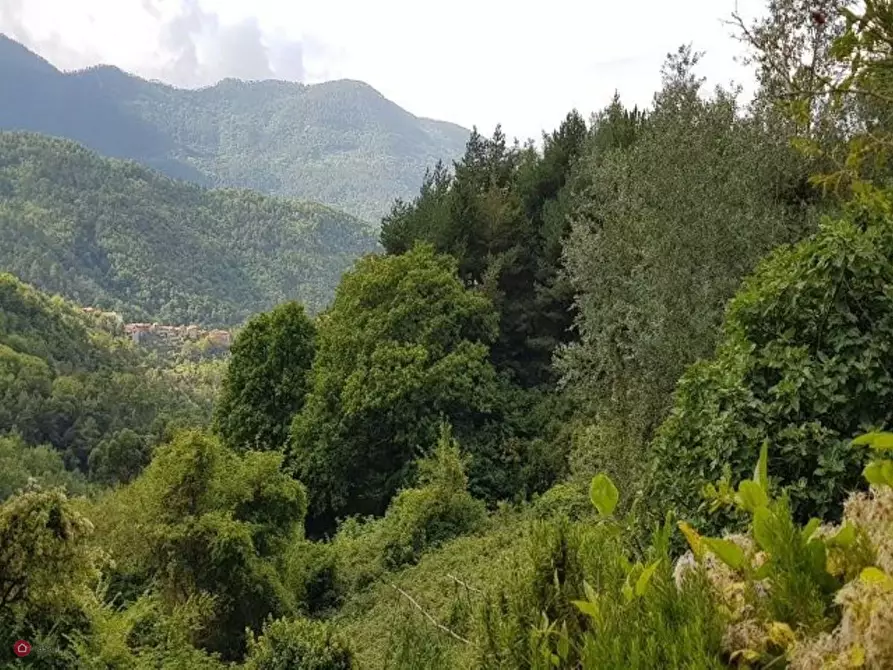 Immagine 18 di Rustico / casale in vendita  in Bajardo a Baiardo