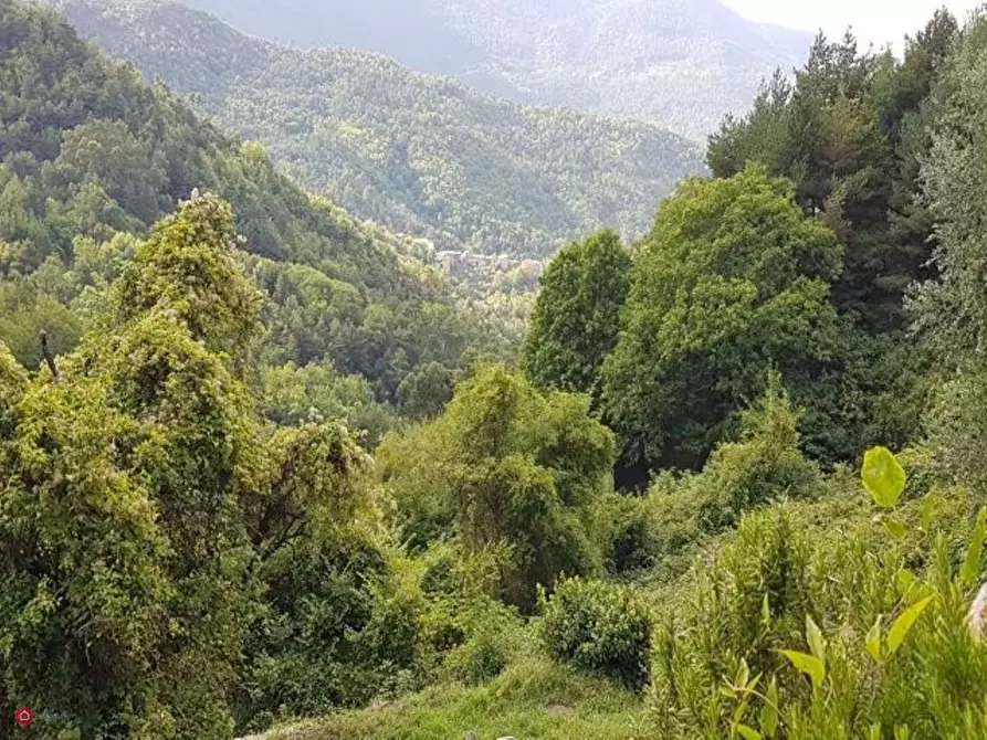 Immagine 19 di Rustico / casale in vendita  in Bajardo a Baiardo
