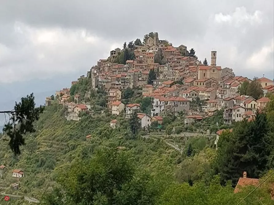 Immagine 21 di Rustico / casale in vendita  in Bajardo a Baiardo