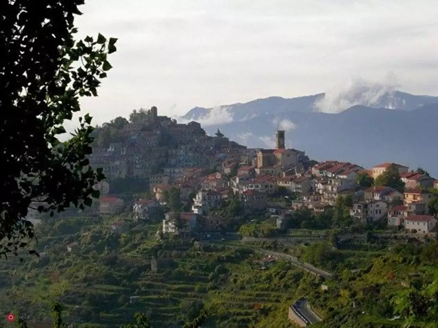 Immagine 3 di Rustico / casale in vendita  in Bajardo a Baiardo