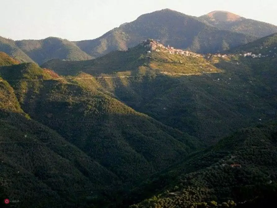 Immagine 5 di Rustico / casale in vendita  in Bajardo a Baiardo