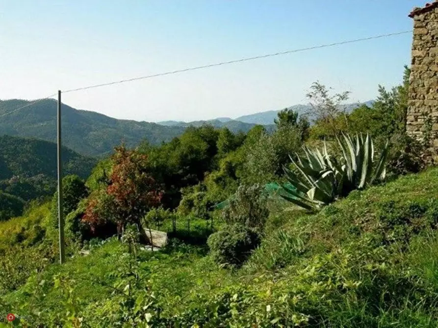 Immagine 6 di Rustico / casale in vendita  in Bajardo a Baiardo