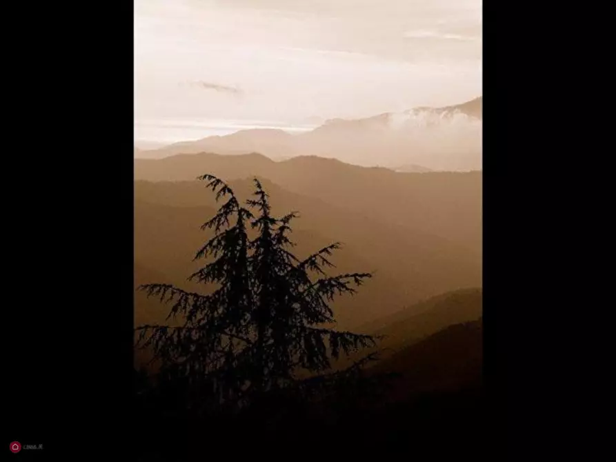 Immagine 8 di Rustico / casale in vendita  in Bajardo a Baiardo