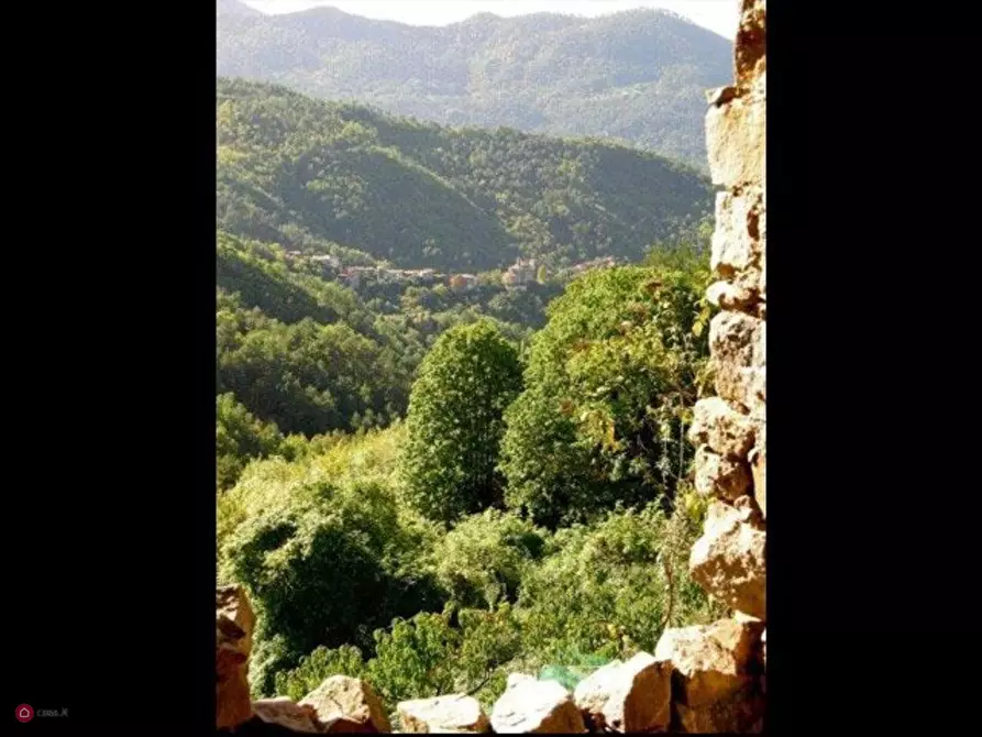 Immagine 9 di Rustico / casale in vendita  in Bajardo a Baiardo