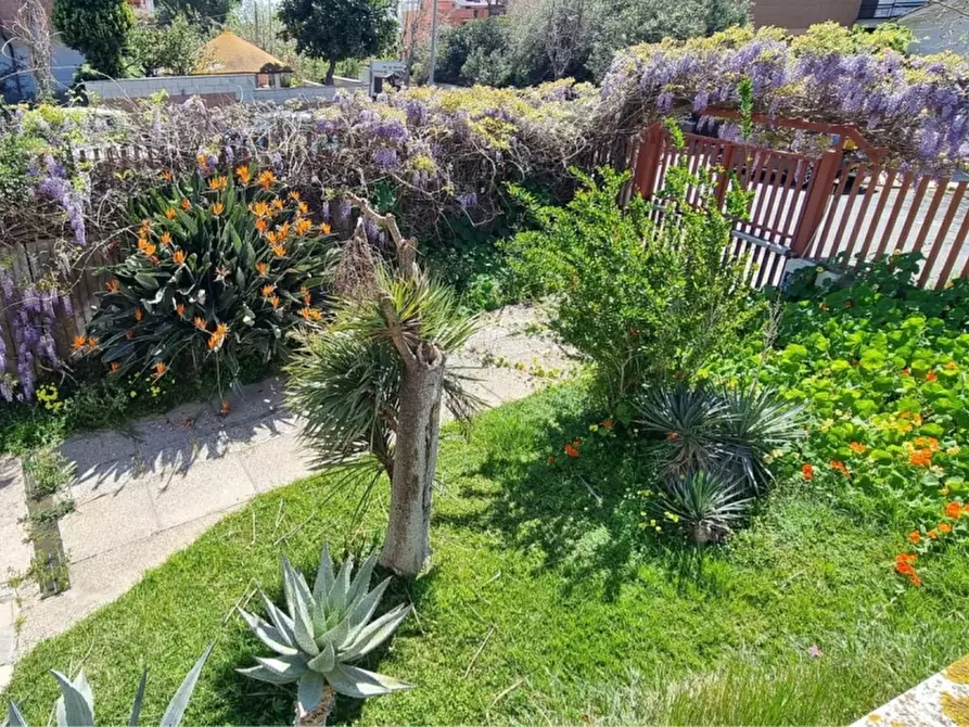 Immagine 1 di Villa in vendita  in Via Cicerone a Santa Marinella