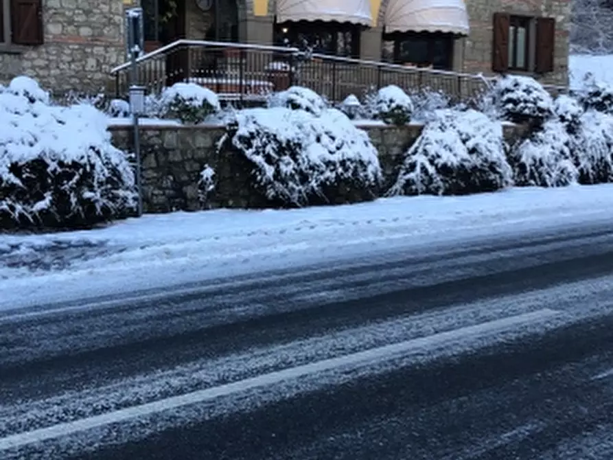 Immagine 4 di Bar / Ristorante in vendita  in scarpaccia a Castel San Niccolò