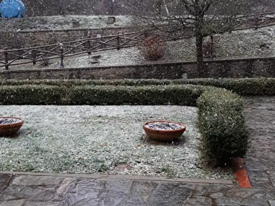 Immagine 33 di Bar / Ristorante in vendita  in scarpaccia a Castel San Niccolò