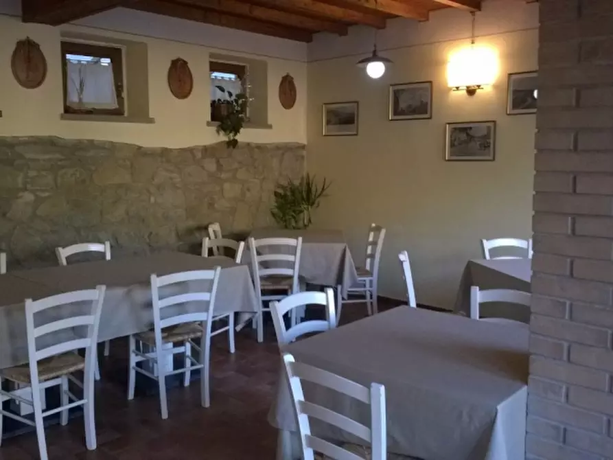 Immagine 11 di Bar / Ristorante in vendita  in scarpaccia a Castel San Niccolò