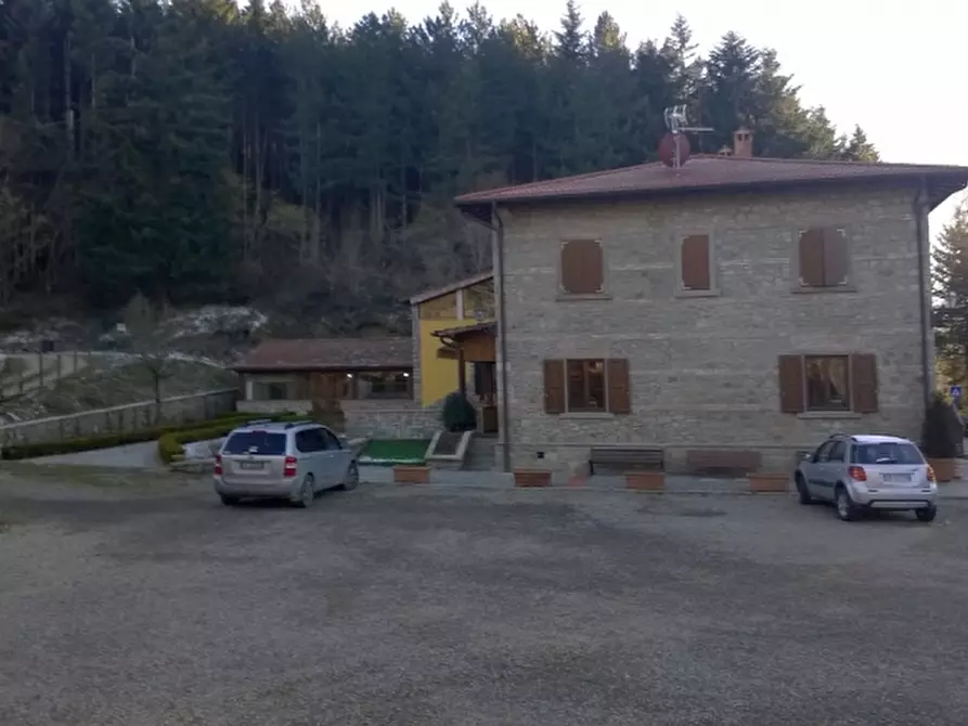 Immagine 9 di Bar / Ristorante in vendita  in scarpaccia a Castel San Niccolò