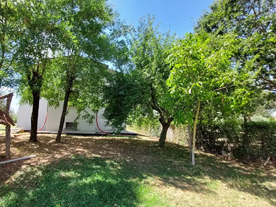 Immagine 5 di Villa in vendita  in loc. Indicatore - le Venerine 1 a Arezzo