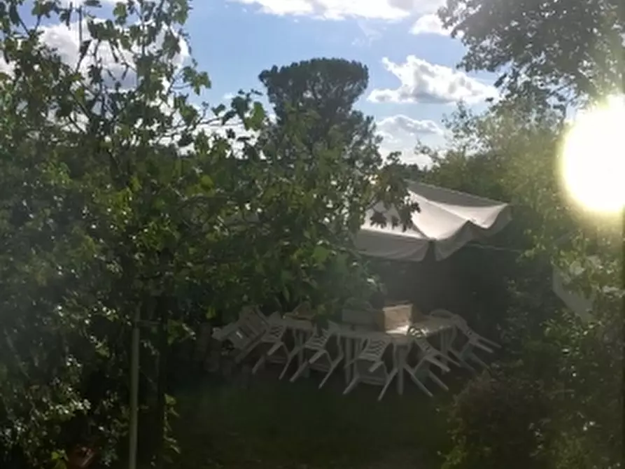 Immagine 4 di Bar / Ristorante in vendita  in loc. Palazzuolo a Monte San Savino