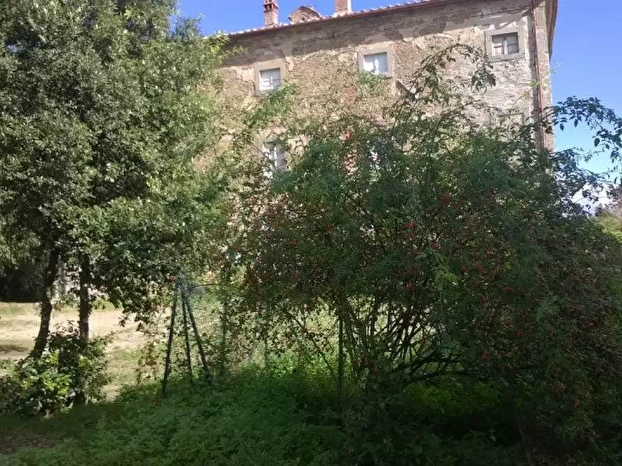 Immagine 9 di Bar / Ristorante in vendita  in loc. Palazzuolo a Monte San Savino