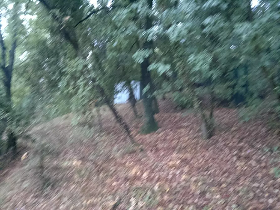 Immagine 20 di Villa in vendita  a Arezzo