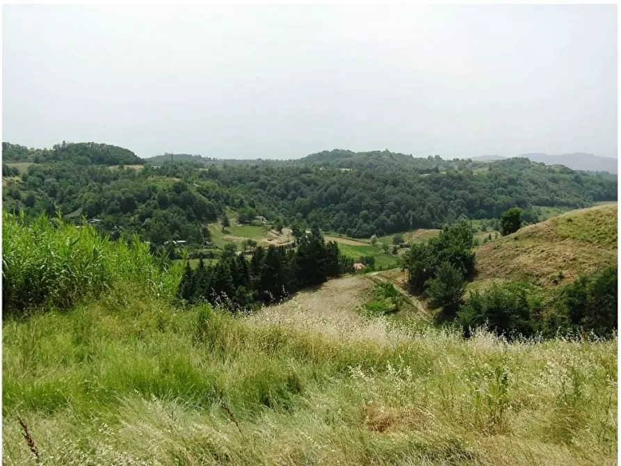 Immagine 5 di Terreno residenziale in vendita  in loc. Cepparello 1 a San Giovanni Valdarno