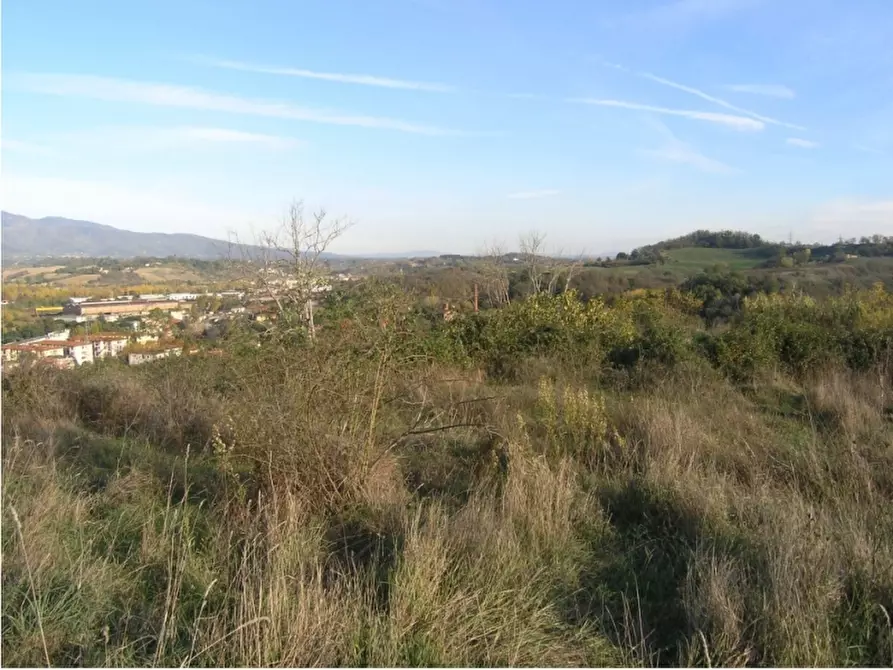 Immagine 6 di Terreno residenziale in vendita  in loc. Cepparello 1 a San Giovanni Valdarno