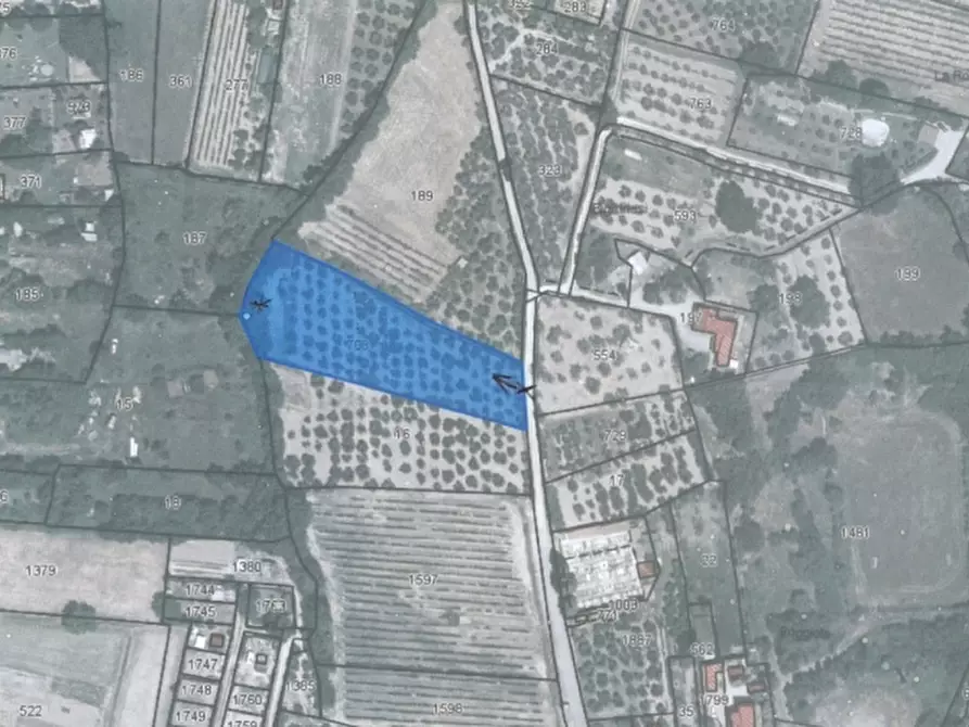 Immagine 1 di Terreno agricolo in vendita  in Le Poggiola a Arezzo