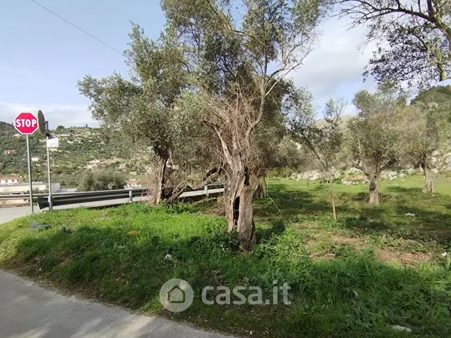 Immagine 2 di Terreno agricolo in vendita  in Loc licciano a Itri