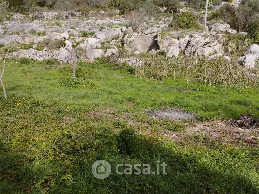 Immagine 3 di Terreno agricolo in vendita  in Loc licciano a Itri