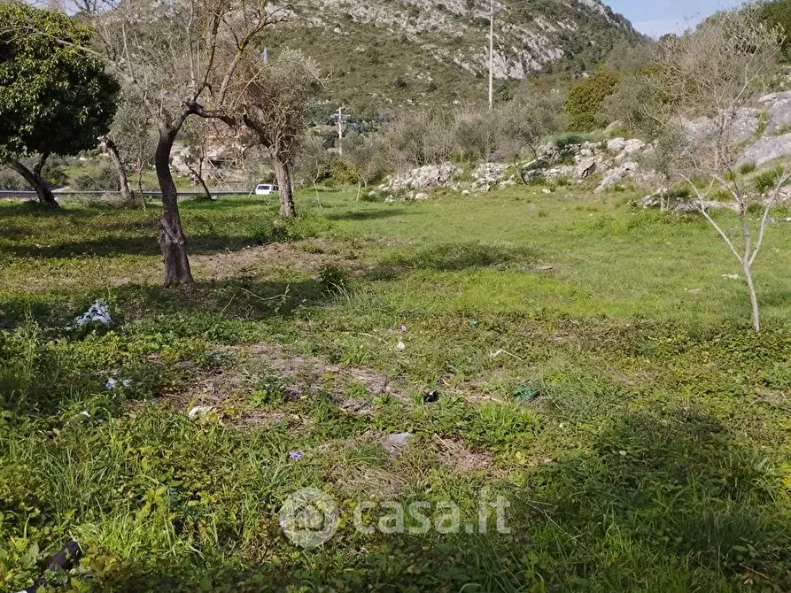 Immagine 4 di Terreno agricolo in vendita  in Loc licciano a Itri