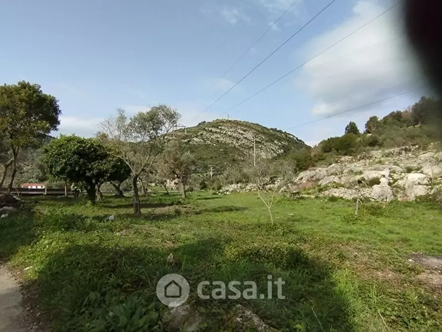 Immagine 5 di Terreno agricolo in vendita  in Loc licciano a Itri