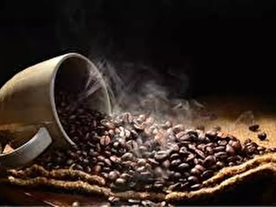 Immagine 1 di Bar / Ristorante in vendita  in VIALE DELLE NAZIONI 10 a Verona